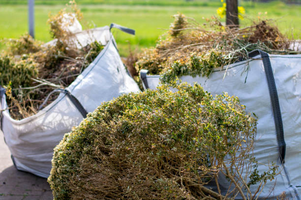 Best Basement Cleanout Services  in Twin Rivers, NJ